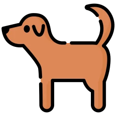 Chien