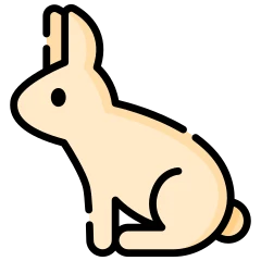 Lapin