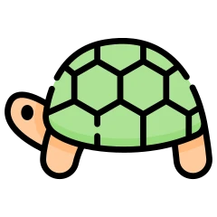 Tortue